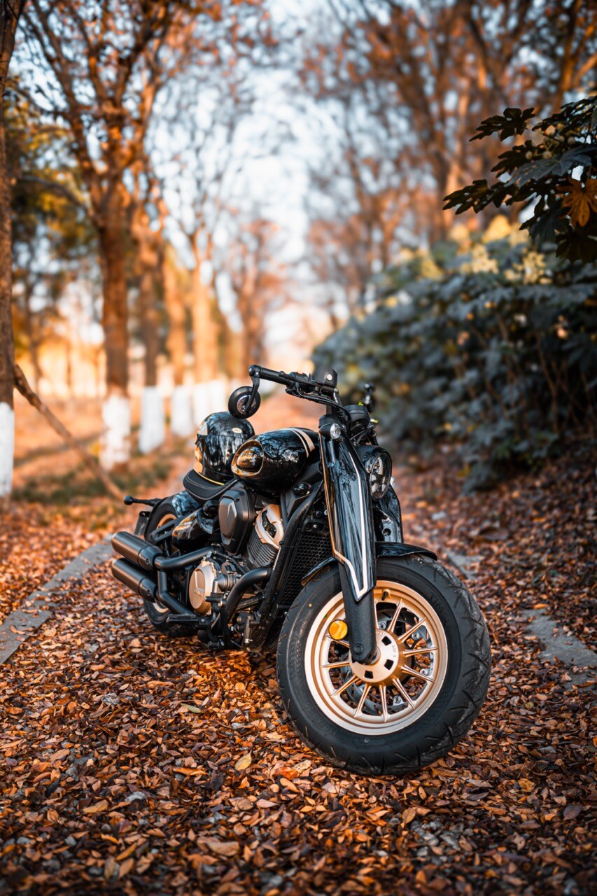 Benda Napoleon 500 Bobber, Phân Phối Chính Hãng, Giá Rẻ Tại Đồng Tháp