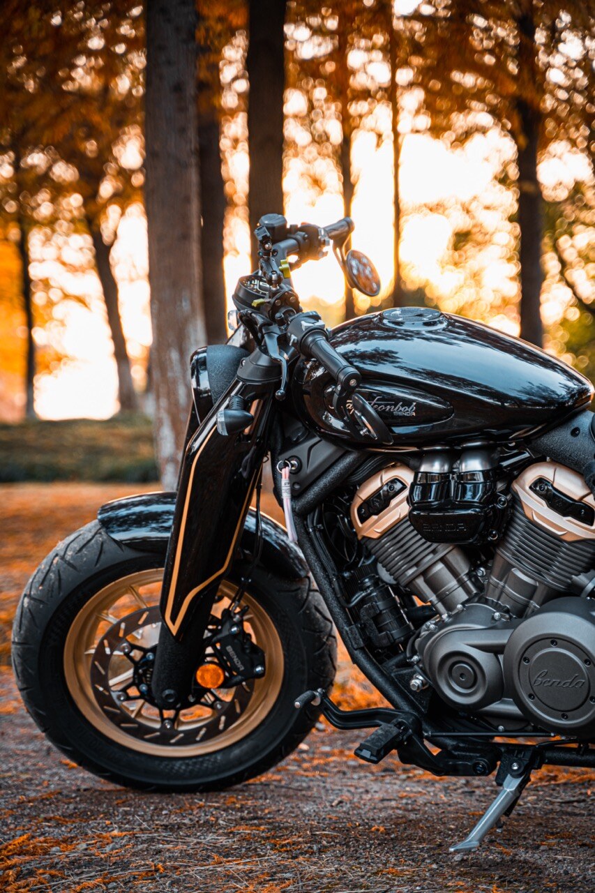 Benda Napoleon 500 Bobber, Phân Phối Chính Hãng, Giá Rẻ Tại Đồng Tháp
