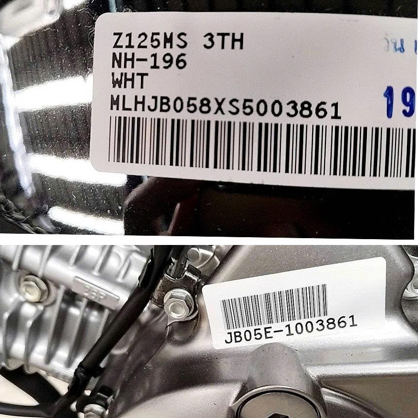 Honda Monkey Chrome Edition 2025 tại Đồng Tháp